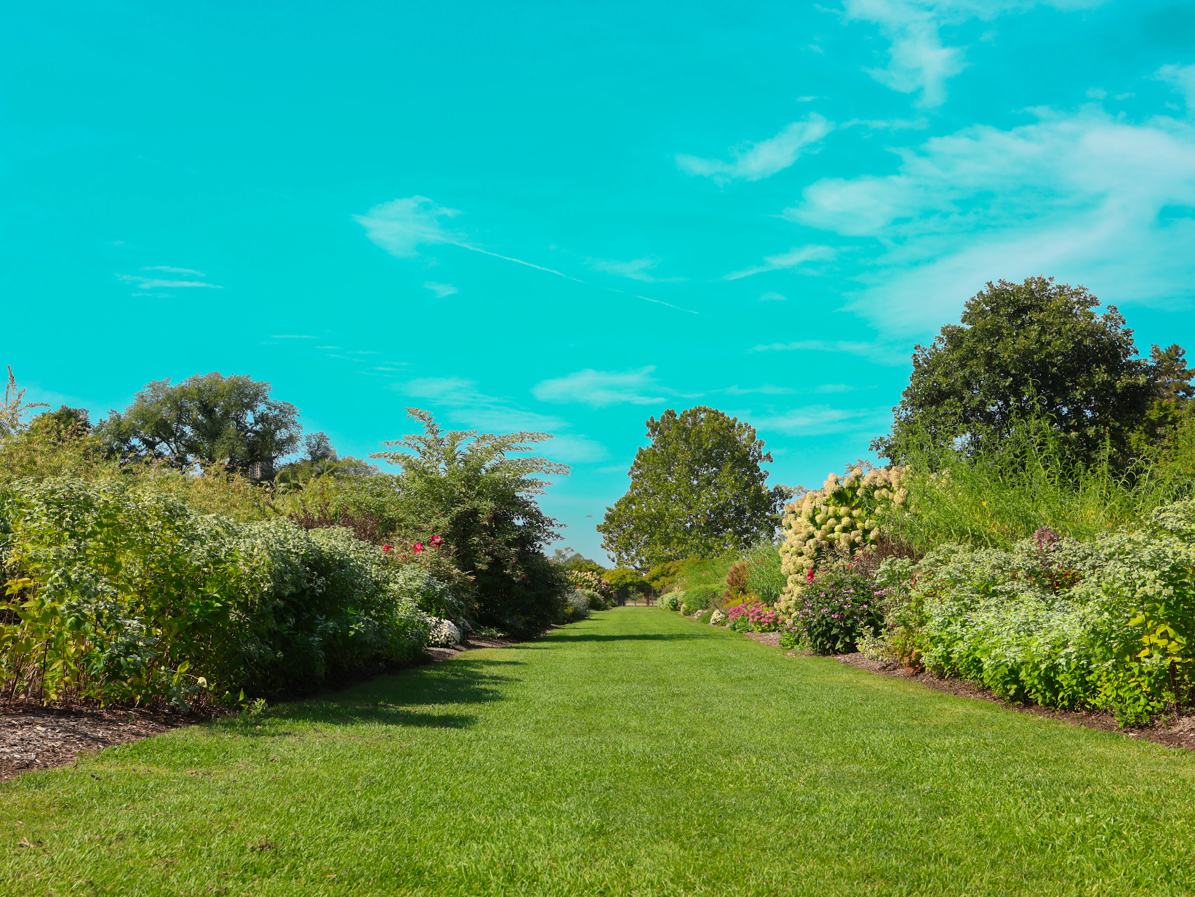 Healthy landscaped garden