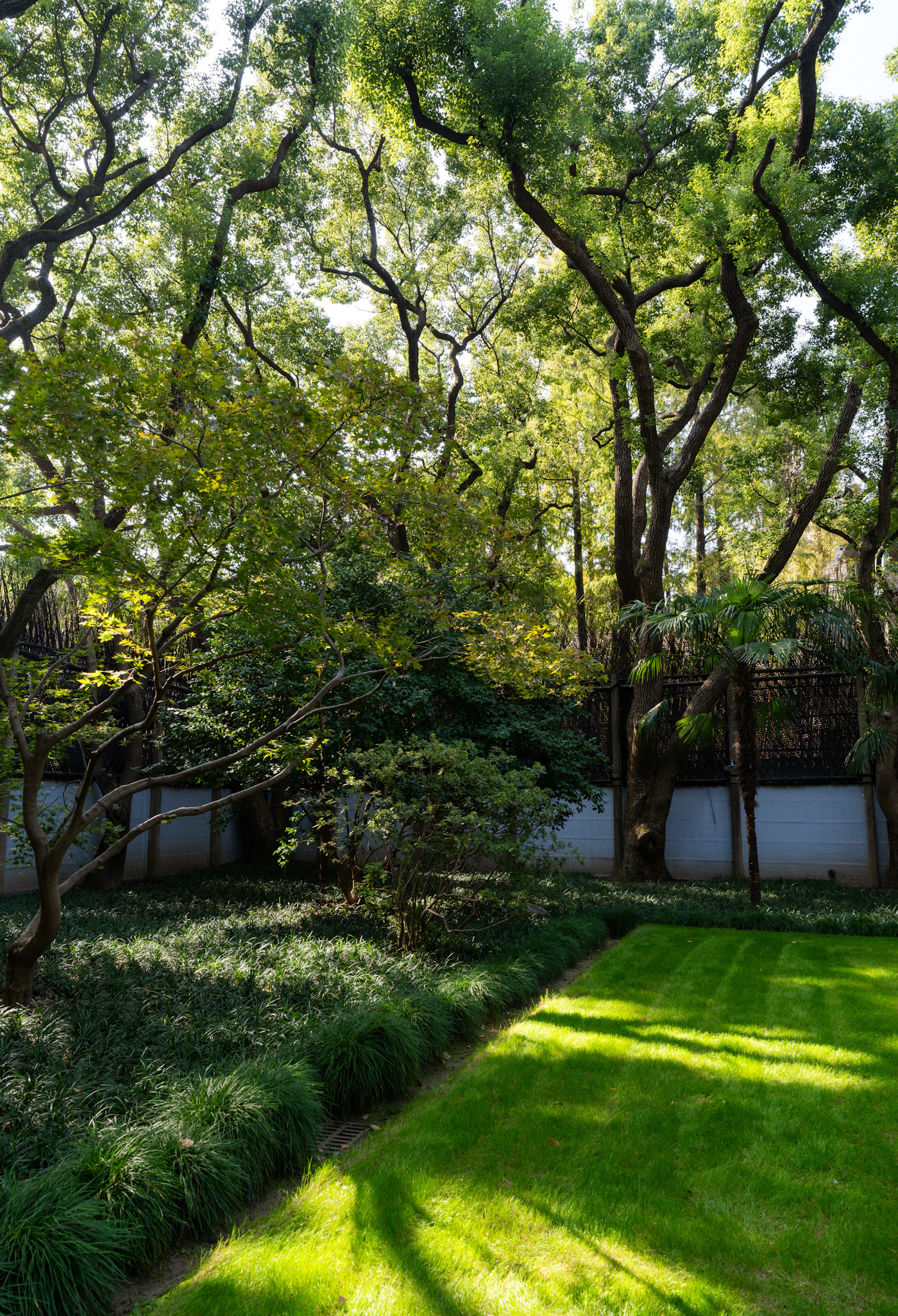 Mature trees and layered planting surrounding a garden lawn